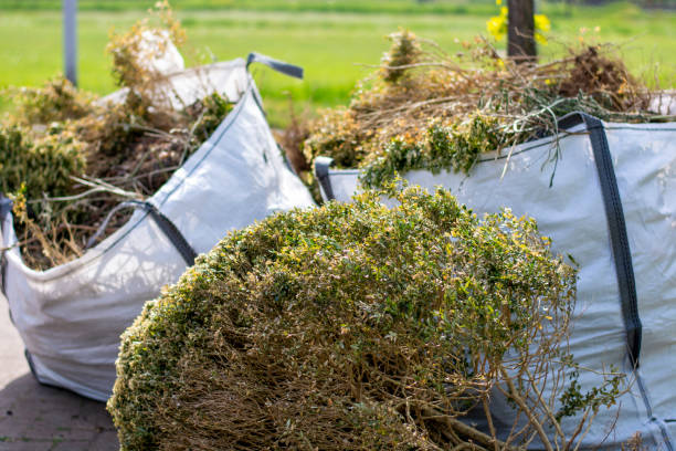 Best Dumpster Rental Services  in Kailua, HI